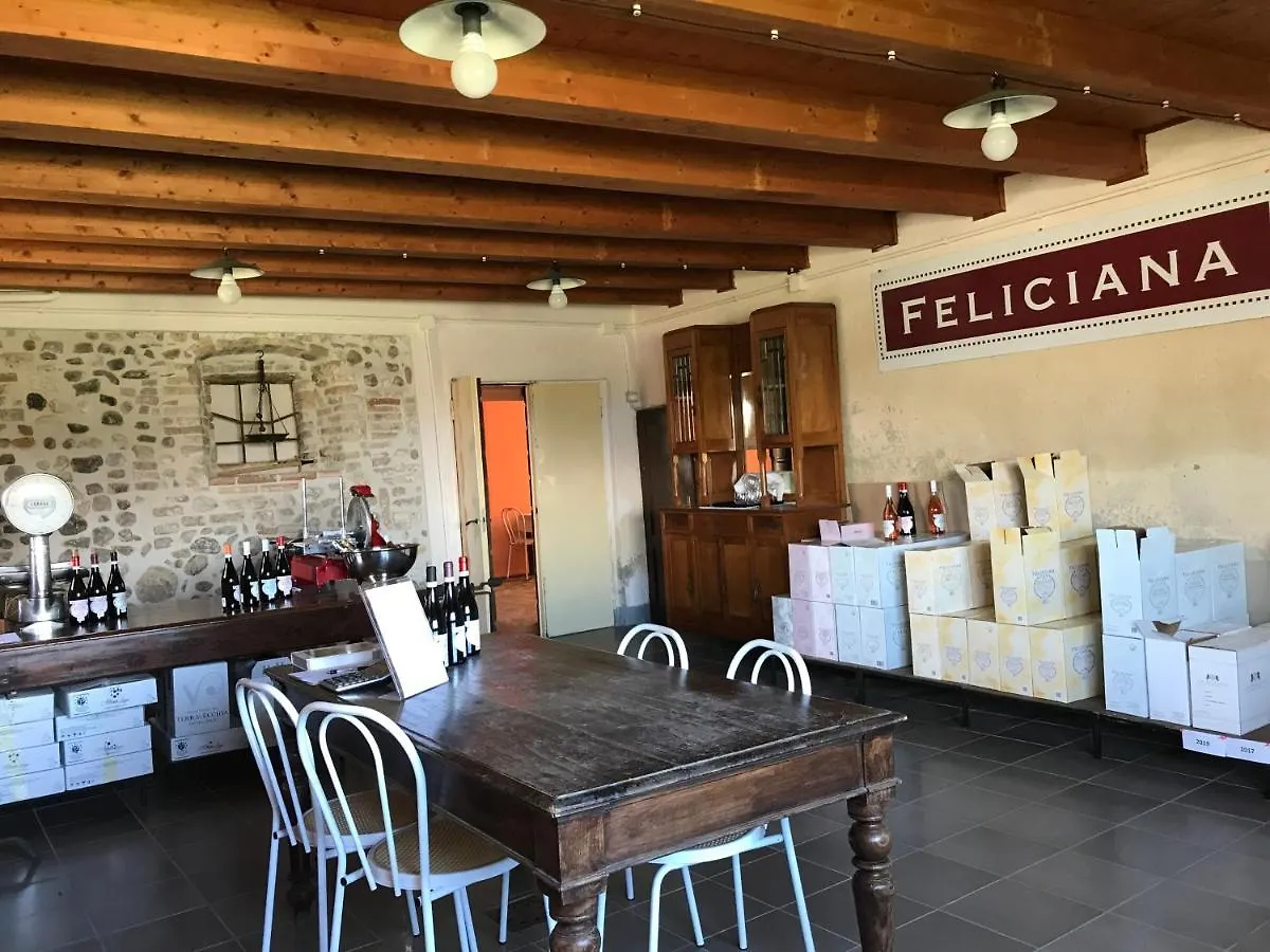 Agriturismo Feliciana Pozzolengo Casa di campagna