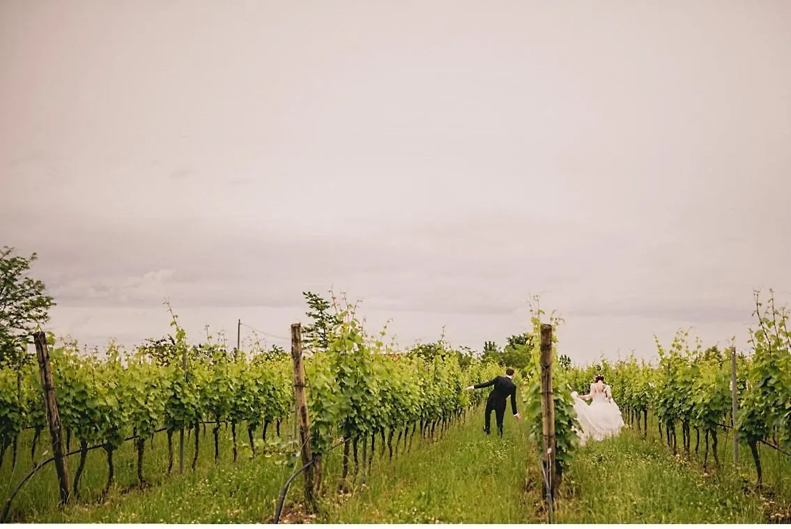 Agriturismo Feliciana Pozzolengo 0*,