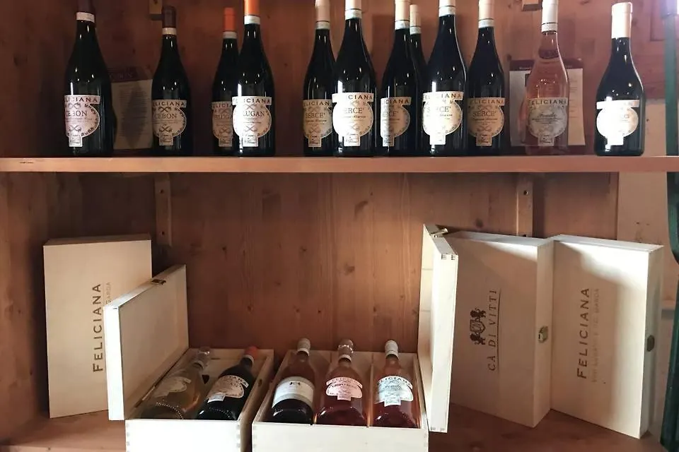Casa di campagna Agriturismo Feliciana Pozzolengo Italia