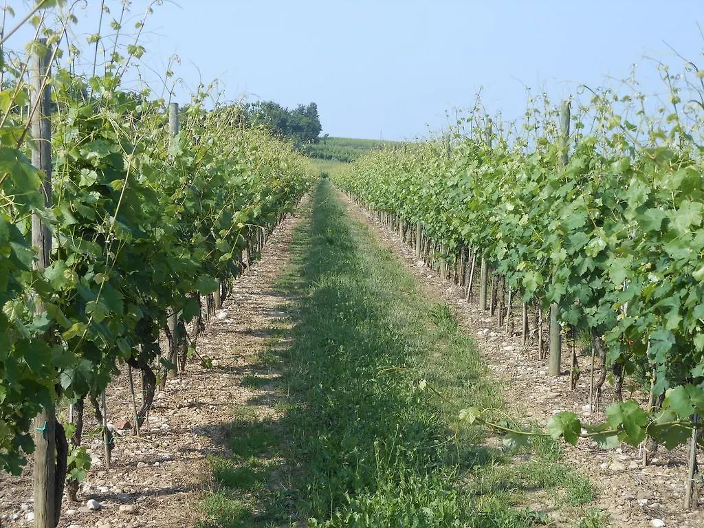 Casa di campagna Agriturismo Feliciana Pozzolengo